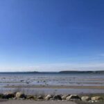 Vårdagar 2025 bild 11